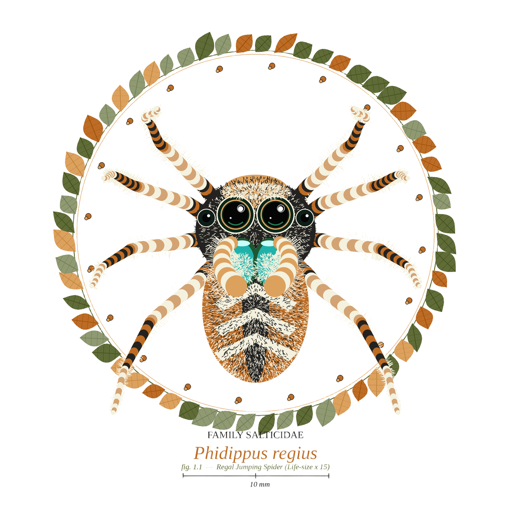 Jumping Spider Close-up Art — art by Bazzai Studio