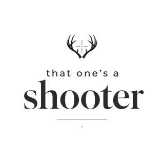 that one's a shooter — art by Bazzai Studio