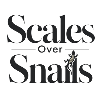Scales Over Snails — art by Bazzai Studio