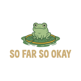 SO FAR SO OKAY — art by Bazzai Studio